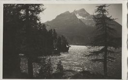 Meerkämper, Sils im Engadin, 1931
