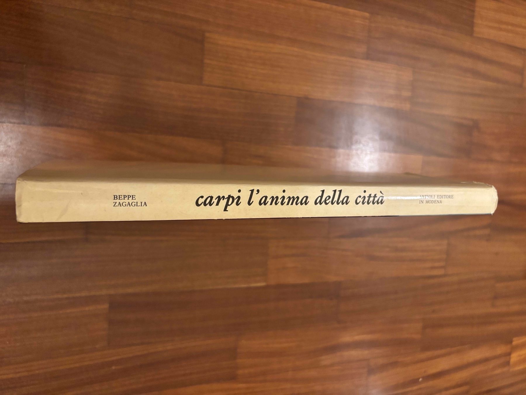 Libri: Carpi l'Anima della Città – Usato da Lugano venduto da Mark_Young 1