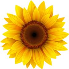 Profile image of Swissnorm