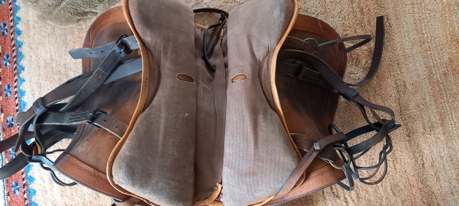 Selle & Accessori: camarguesattel – Usato da Höri venduto da bsc_68fw 6