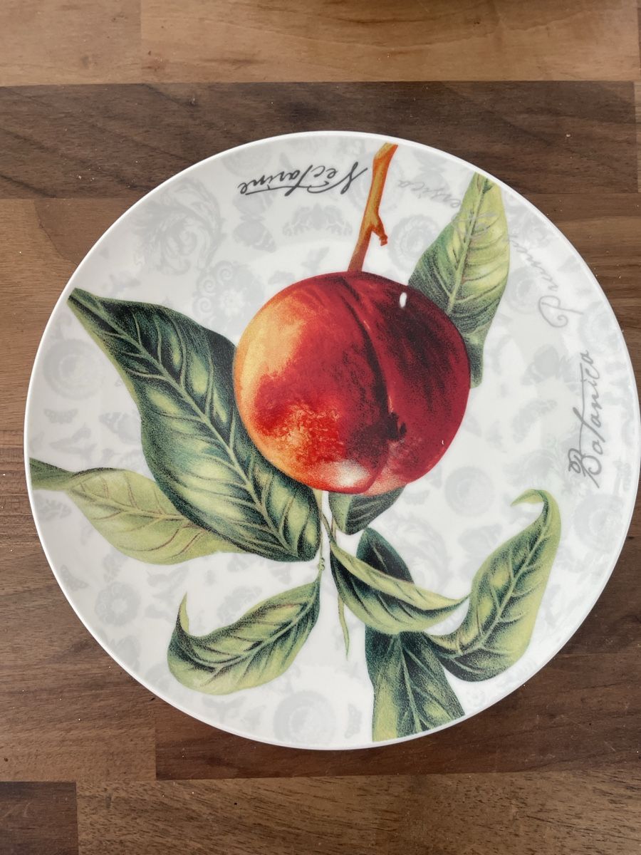 Maxwell & Williams Piatti: Maxwell & Williams Teller Geschirr Dessertteller 5 Stück – Usato da Zürich venduto da MyFashion 2