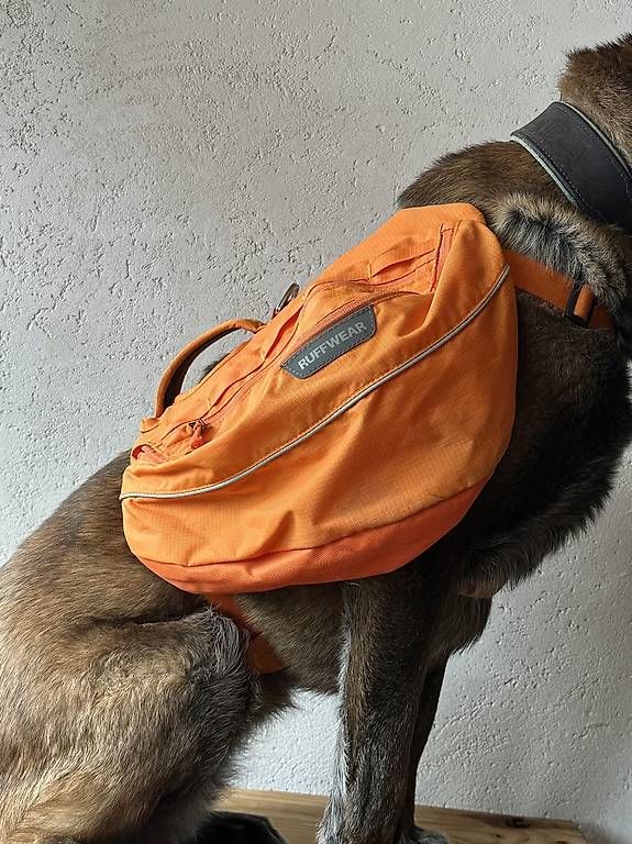 Zaini: Hunderucksack Ruffwear Grösse M – Usato da Weissenburg venduto da Honigcalcit