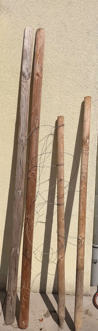 Articoli in legno: Holz Stäbe für den Garten – Usato da Niederurnen venduto da Carbon21