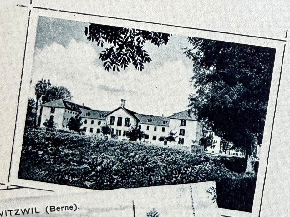 Cartoline postali: Witzwil - 1916... Schön ! – Usato da Lutry venduto da Ediego 2
