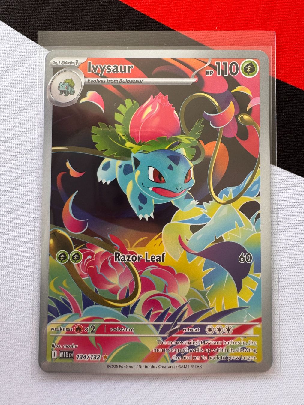 Pokémon Carte collezionabili: Pokémon TCG - Ivysaur (MEG134) Mega Evolution EN – Nuovo (secondo la descrizione) da Oberwil BL venduto da Chelsea26