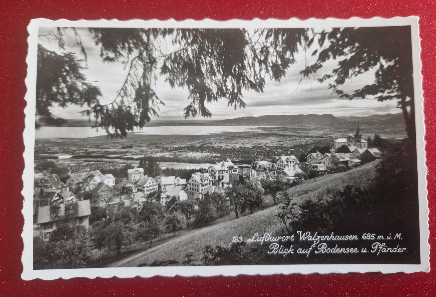 Cartoline postali: Luftkurort Walzenhausen, Bodensee – Nuovo (secondo la descrizione) da Melchnau venduto da Fishel