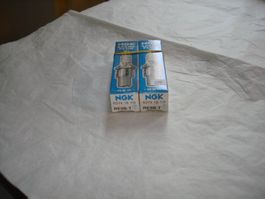 Zündkerzen NGK