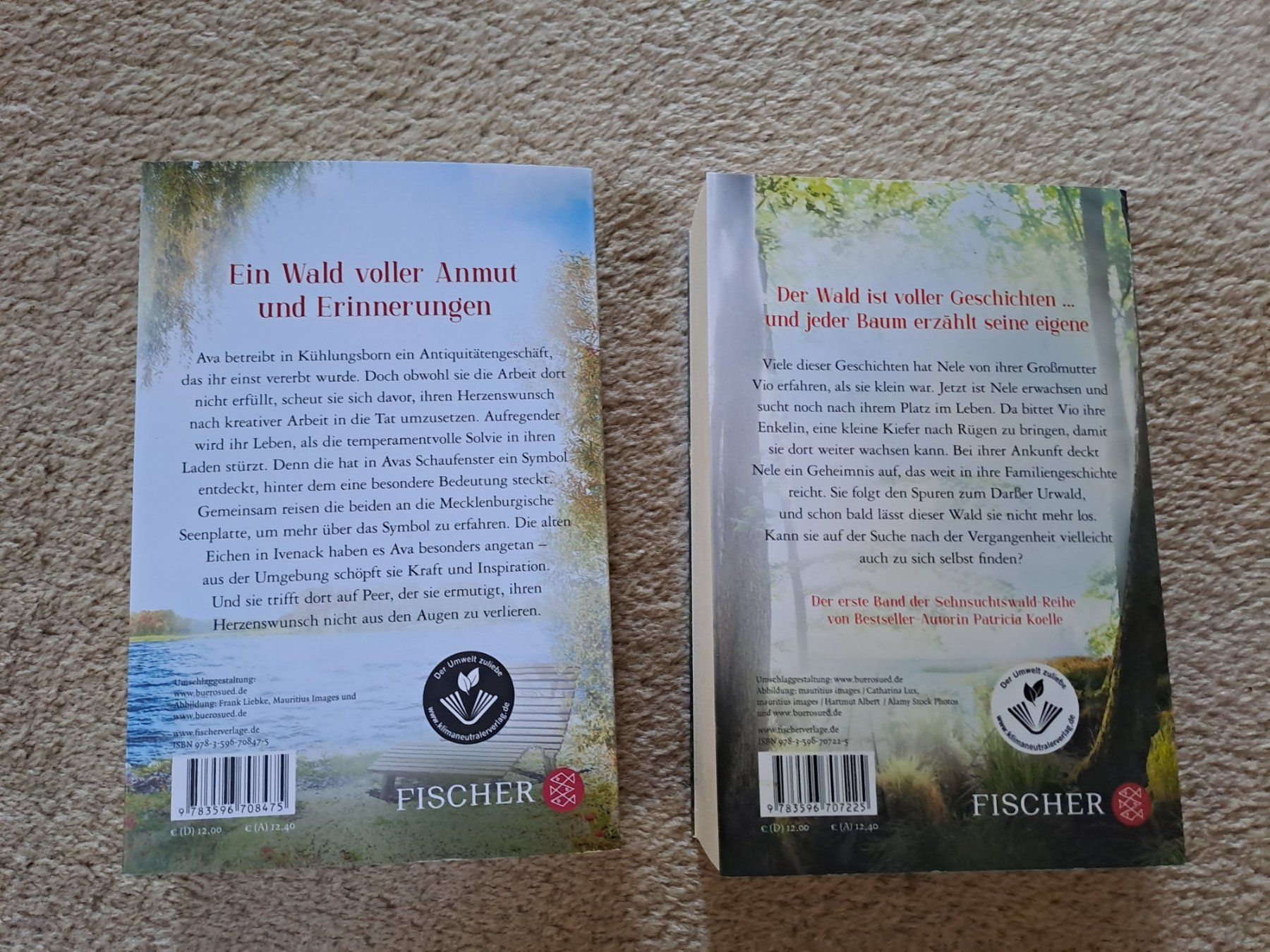 Bücher: 2 sehr spannende Romane – Gebraucht aus Untersiggenthal von Zehni8 1