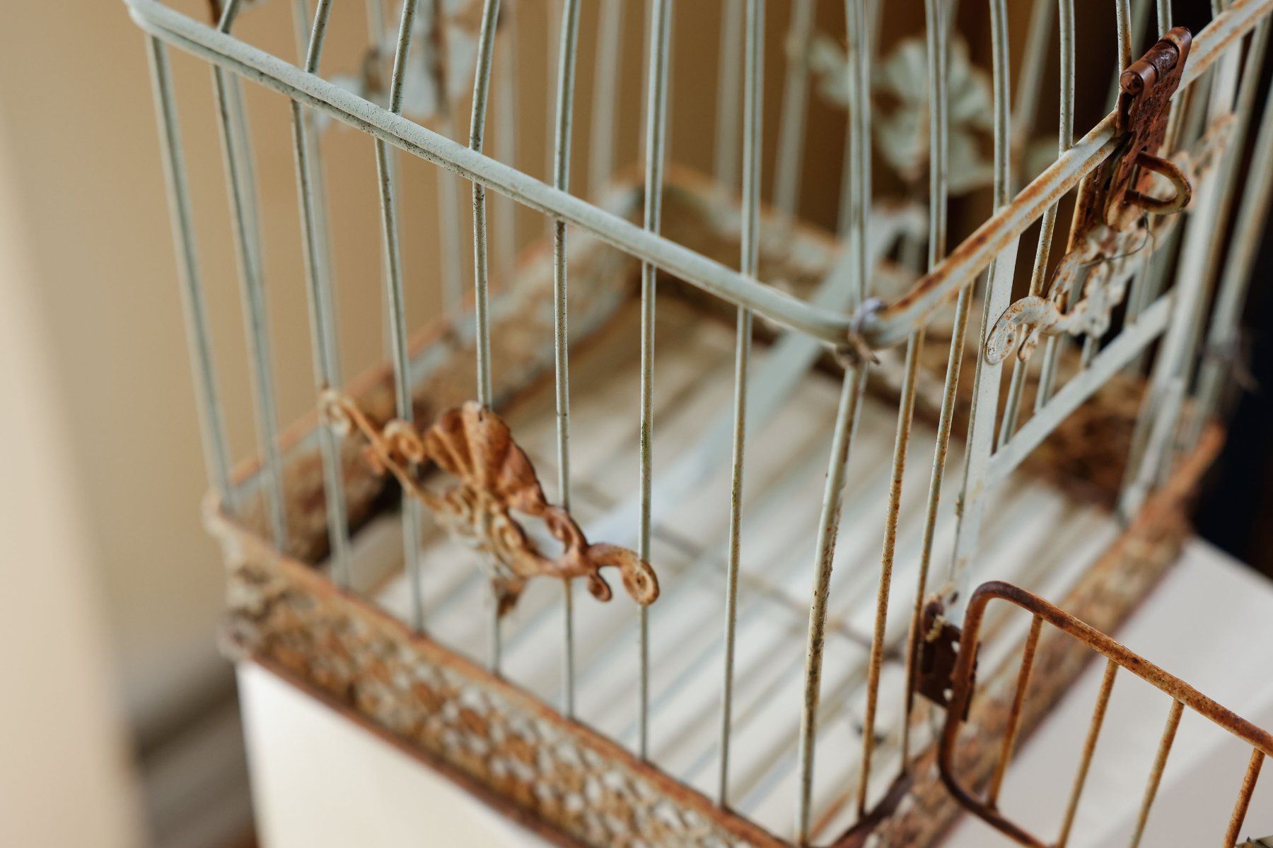 Casette per uccelli: Vogelhaus aus Metall – Usato da Zürich venduto da vitty 3