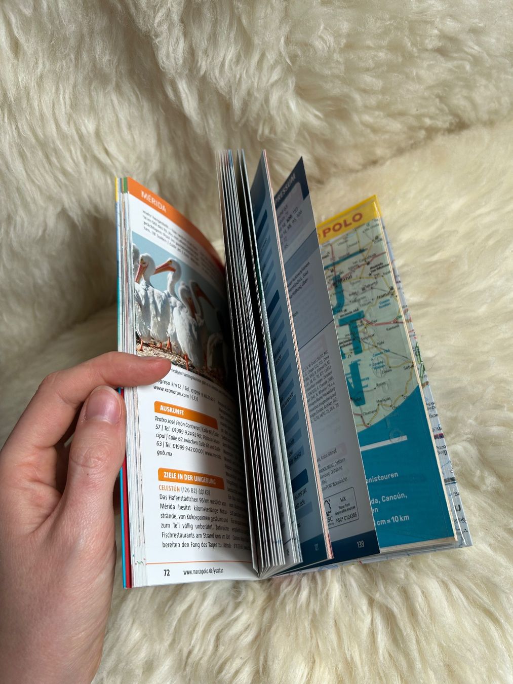 Libri: Yucatan - Marco Polo Reiseführer – Usato da Roggwil BE venduto da Jessica085 4