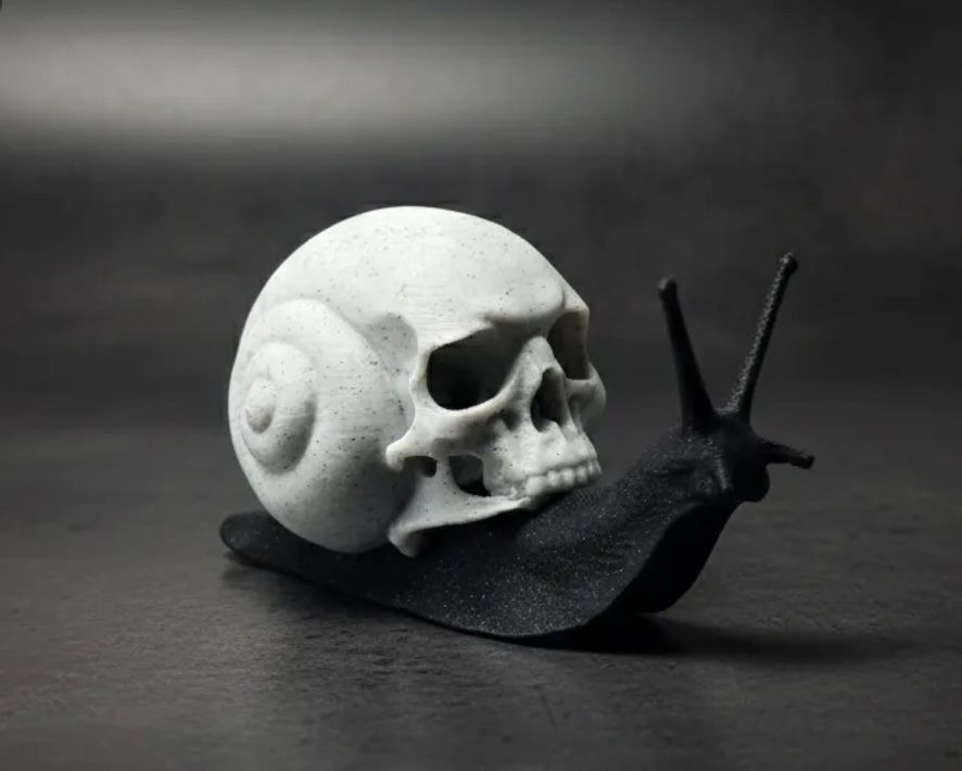 Alle Dekorationen: Totenkopf-Schnecke – Neu und originalverpackt aus Basel von sch_98jl