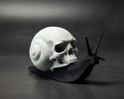 Totenkopf-Schnecke