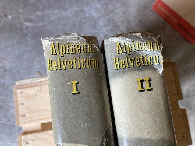 Libri: Alpinum Helveticum – Usato da Engelberg venduto da Muettliger 2