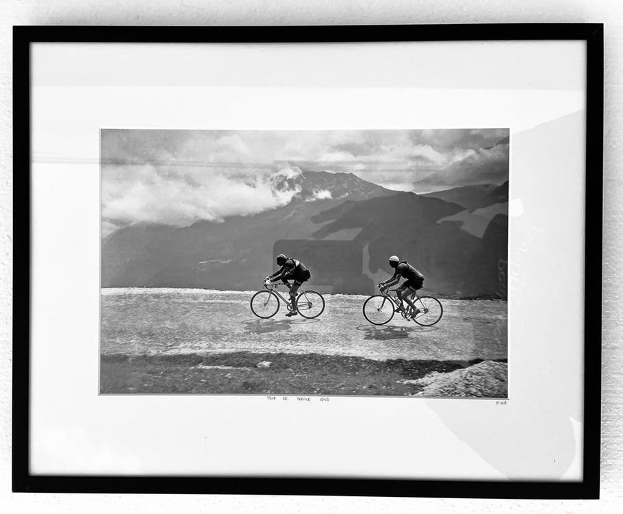Bild Tour de France 1949 Kaufen auf Ricardo