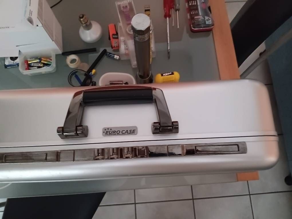 Valises & Sacs: Aktentasche EURO CASE alluminio usata – D'occasion à Giubiasco par pagi2 1