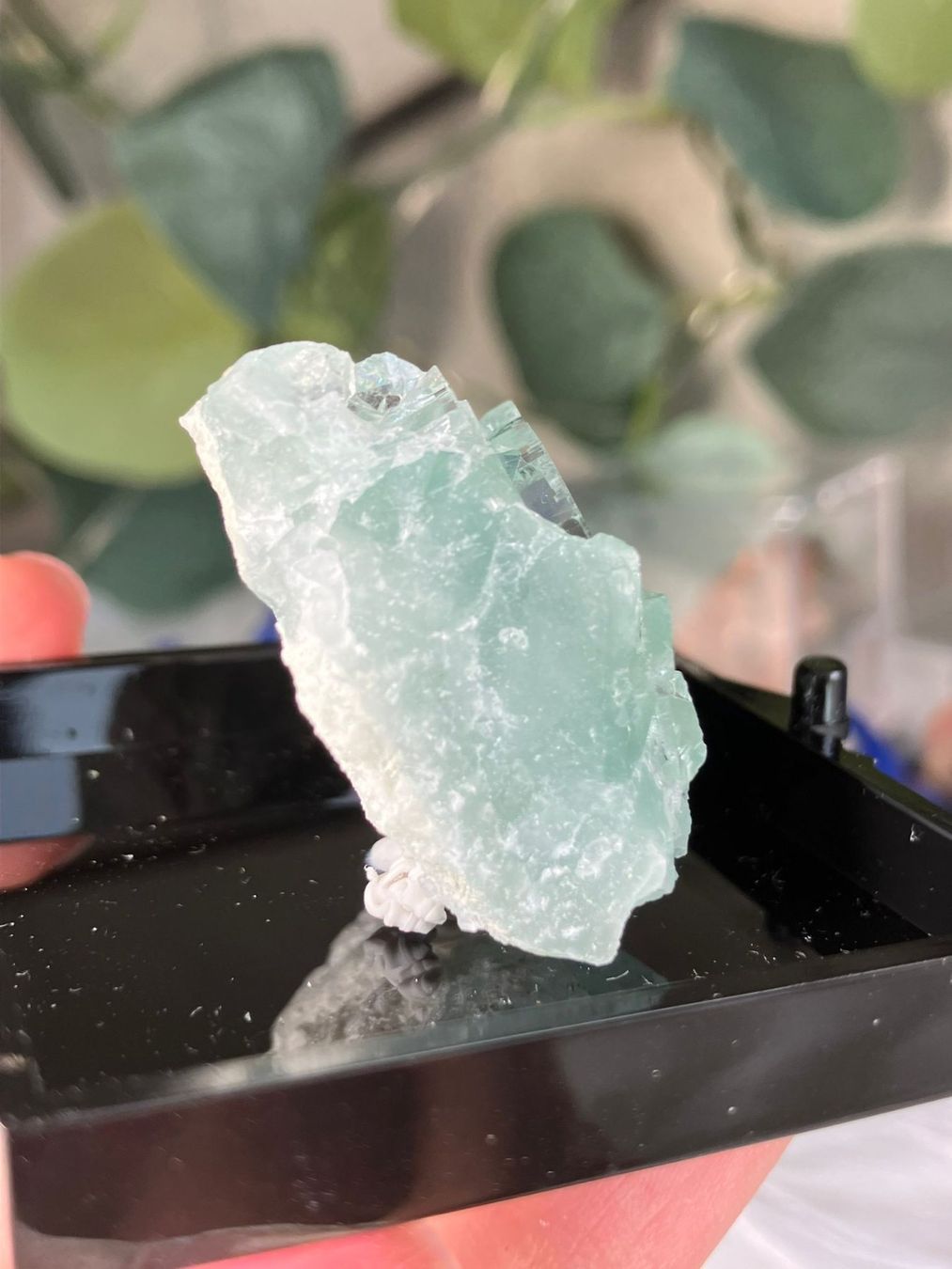 Pietre preziose: Grüner Fluorit – Usato da Neuheim venduto da m.hald 4