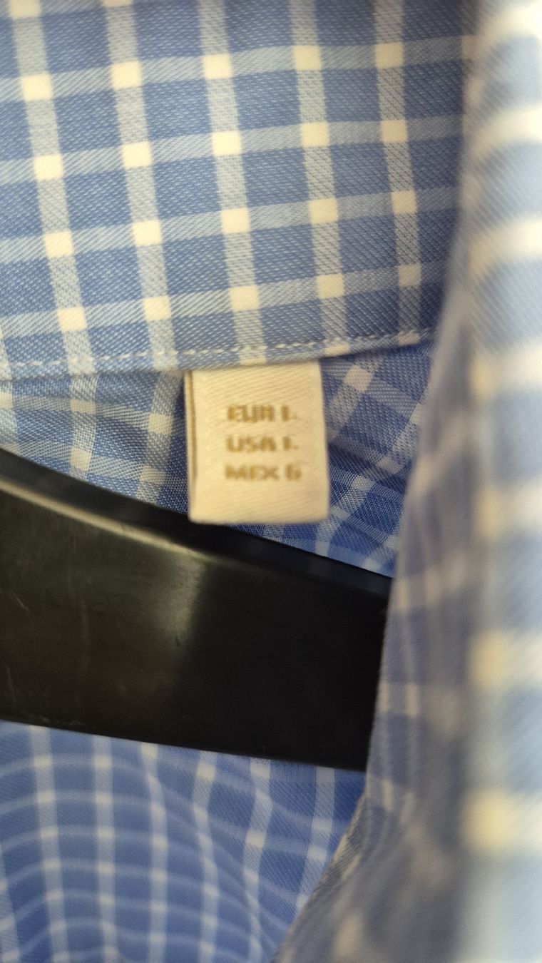 Massimo Dutti Camicie: Massimo Dutti Hemd, Grösse L, hellblau kariert, Top!  – Usato da Winterthur venduto da ann_7lxx 2