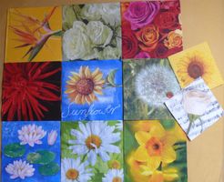 11 Blumen-Blüten Servietten  Basteln/Sammeln (D4)