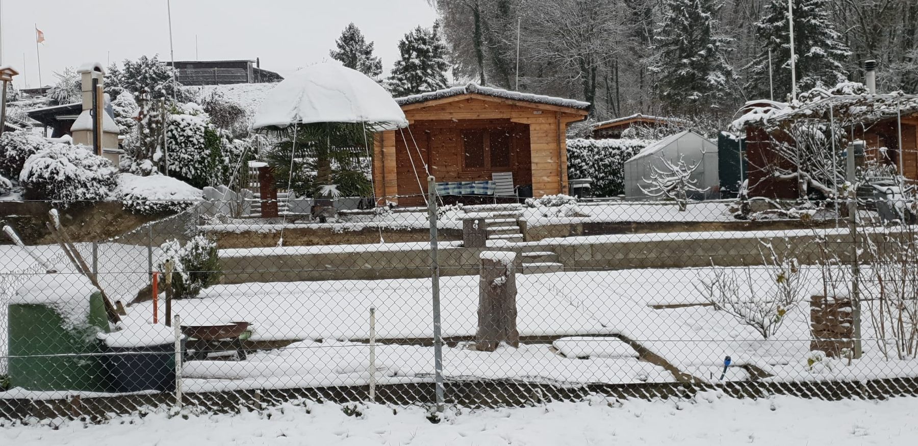 Zelte & Pavillons: Palmenhut Basic Colibri, Palmenschutz, Winter, Überwintern – Gebraucht aus Lausen von Misterspidy 4