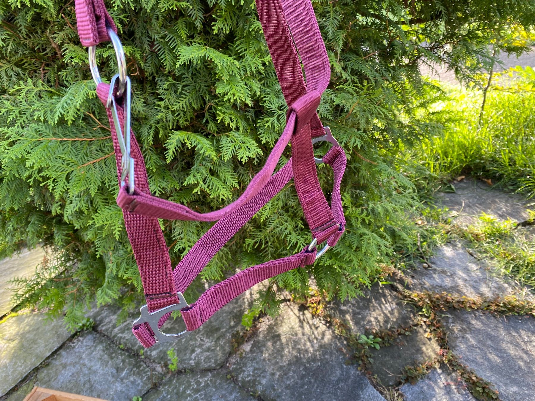Kutschen: 50 schöne Nylonhalftern – Neu (gemäss Beschreibung) aus Feldbach von Fea1 8
