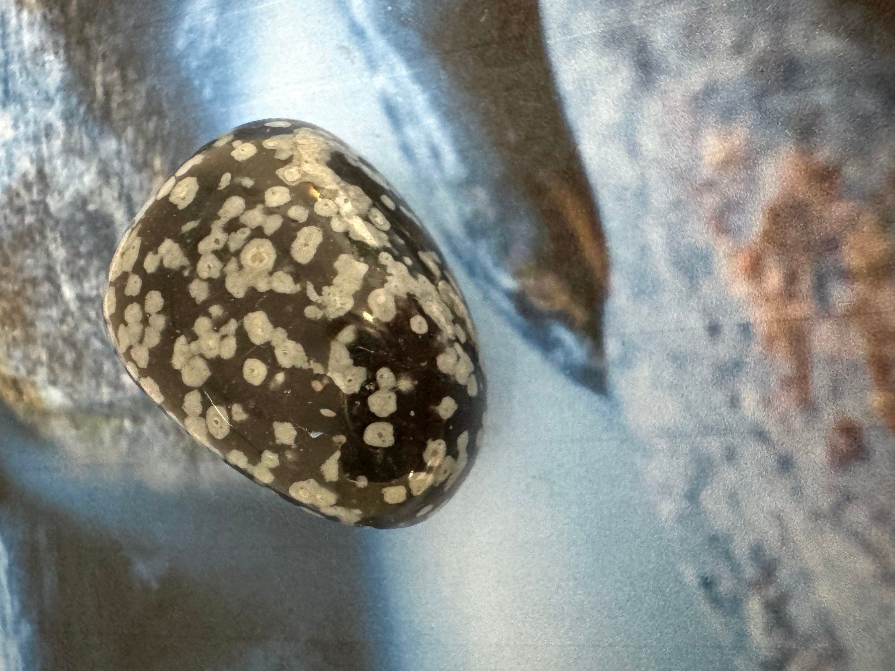 Pietre preziose: Schneeflocken-Obsidian – Nuovo (secondo la descrizione) da Biberist venduto da tl-schmuck