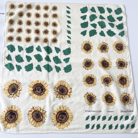 STURZENEGGER Designed By Christian Fischacher Scarf