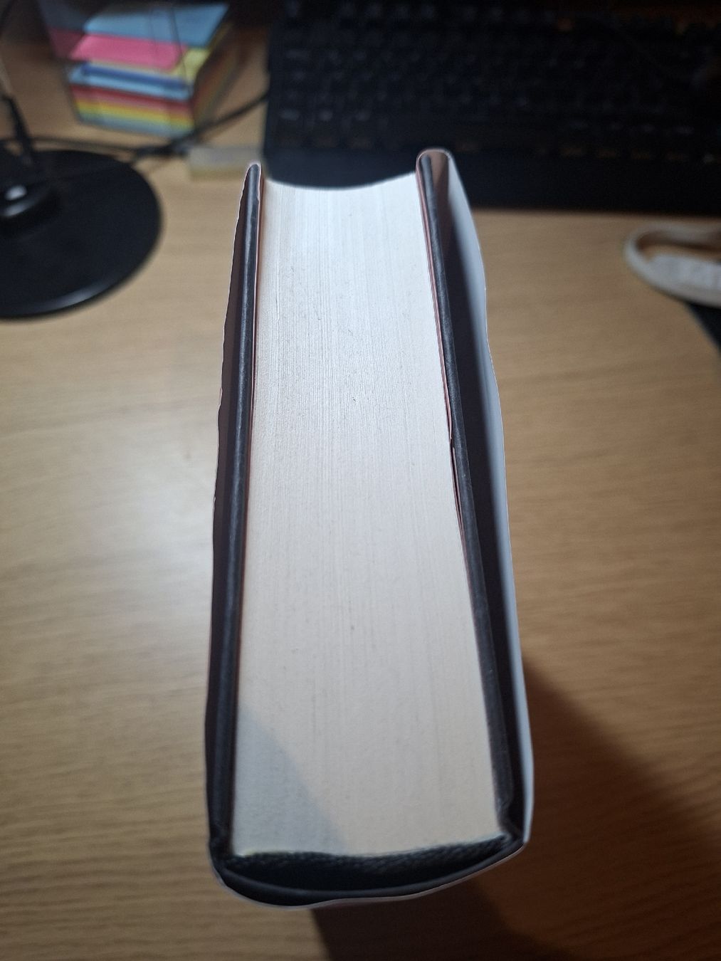 Libri: Buch: Secret Fire - die Entflammten – Usato da Flaach venduto da coh_ljy9 3