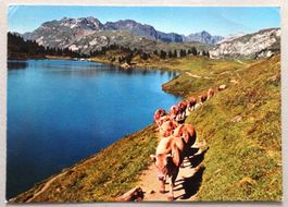 Engstlenalp, Jochpass 1850 m ü.M., B.O.