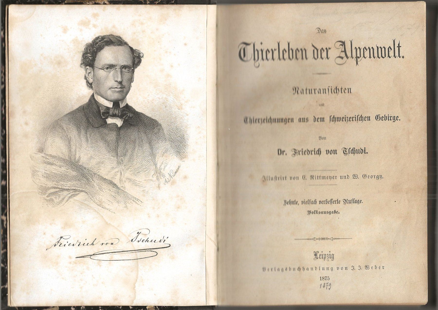 Libri: Das Thierleben der Alpenwelt 1875 – Usato da Bern venduto da Grindelwaldaus