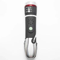 Flashlight Premium 10in1 in Silber