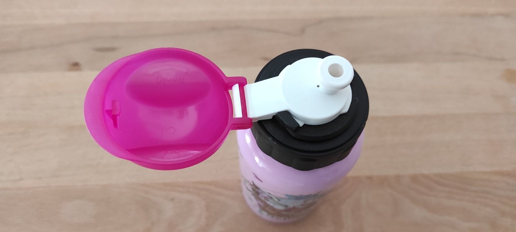 Trinkflaschen & Thermosflaschen: Trinkflasche Kinder Metall Enchantimals – Gebraucht aus Zollbrück von Turner5 2
