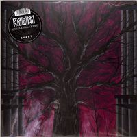 Radien – Unissa Palaneet / LP Black