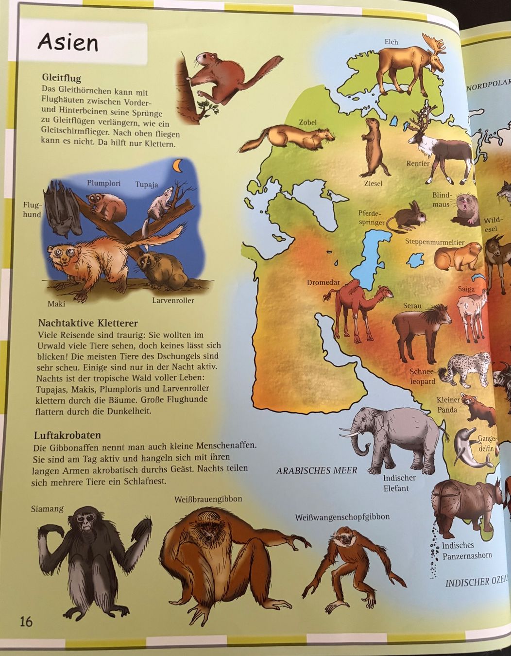 Libri: Kinderatlas ,,Tiere“ – Usato da Adliswil venduto da Myxin 4