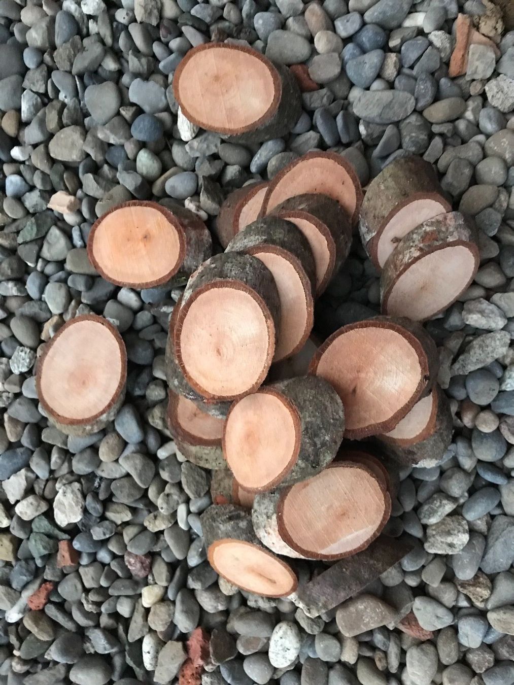 Holzartikel: Holzscheiben – Neu und originalverpackt aus Buttwil von mina010 4
