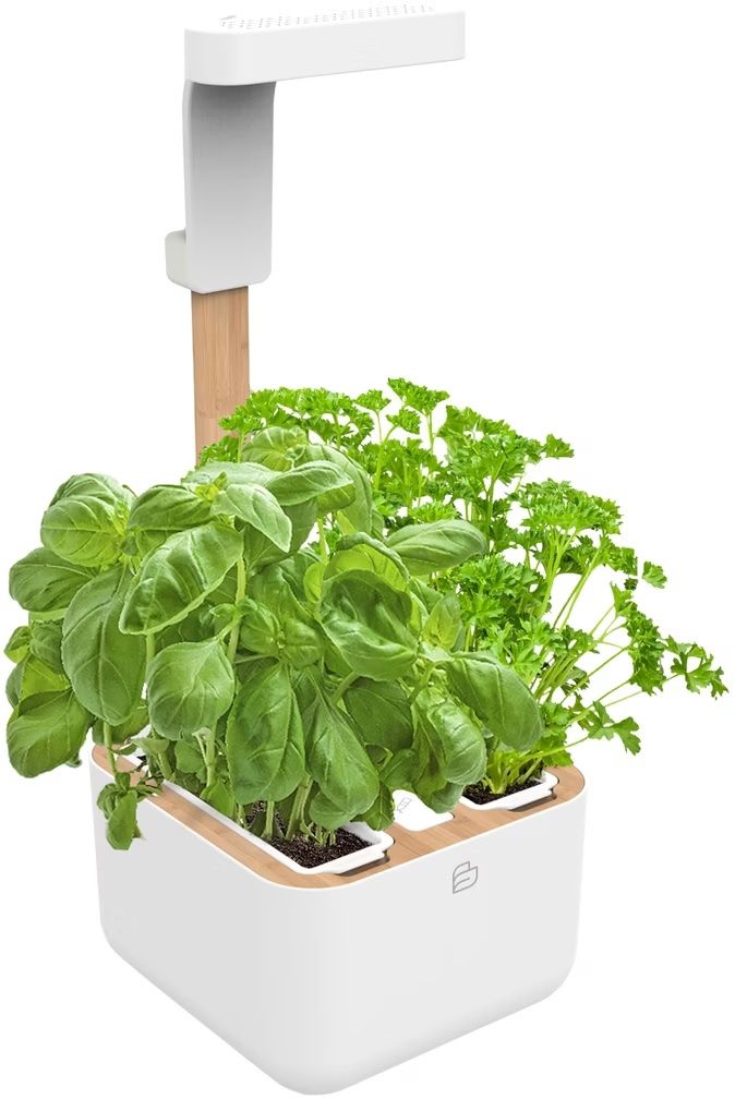 Autres: Véritable Botaneo Eylo - potager de cuisine – D'occasion à Bottens par sundea