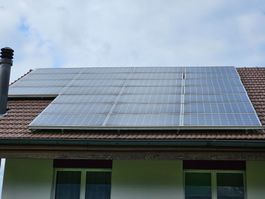 25 Solarpanel HAREON Tritec HR-245 W 3BB Mno