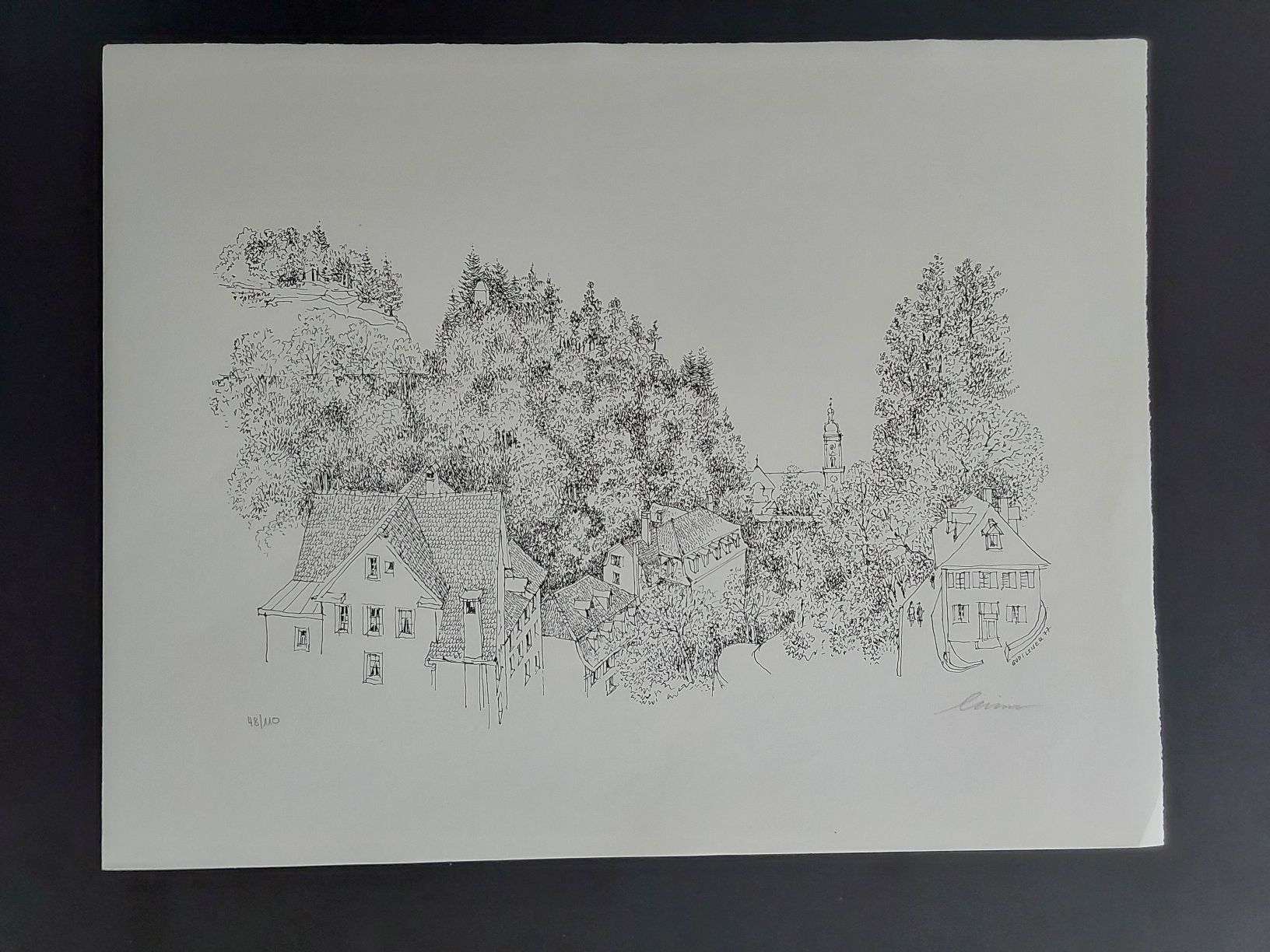 Grafica & Litografie: St.Gallen. Litho. 48/110 Godi  Leiser.Handsigniert. – Usato da Steinach venduto da Chilli1957 6