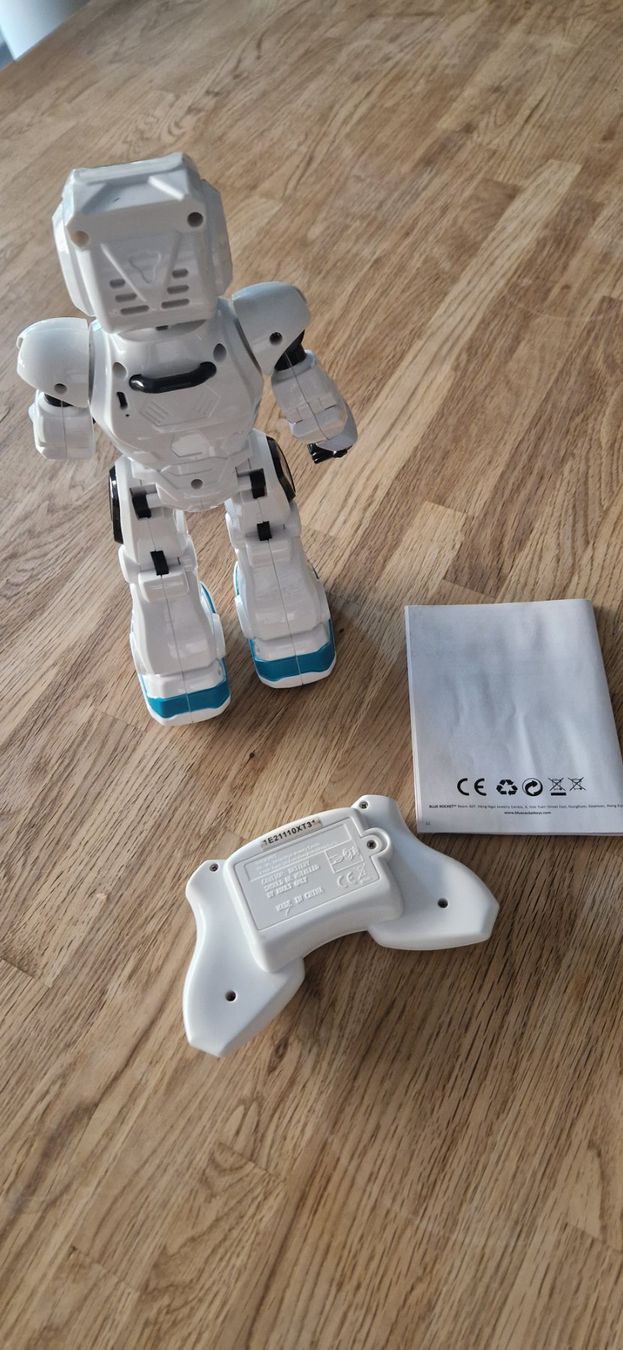 Giocattoli: EXTREME BOTS ROBBIE – Usato da Winterthur venduto da Tulipane 1