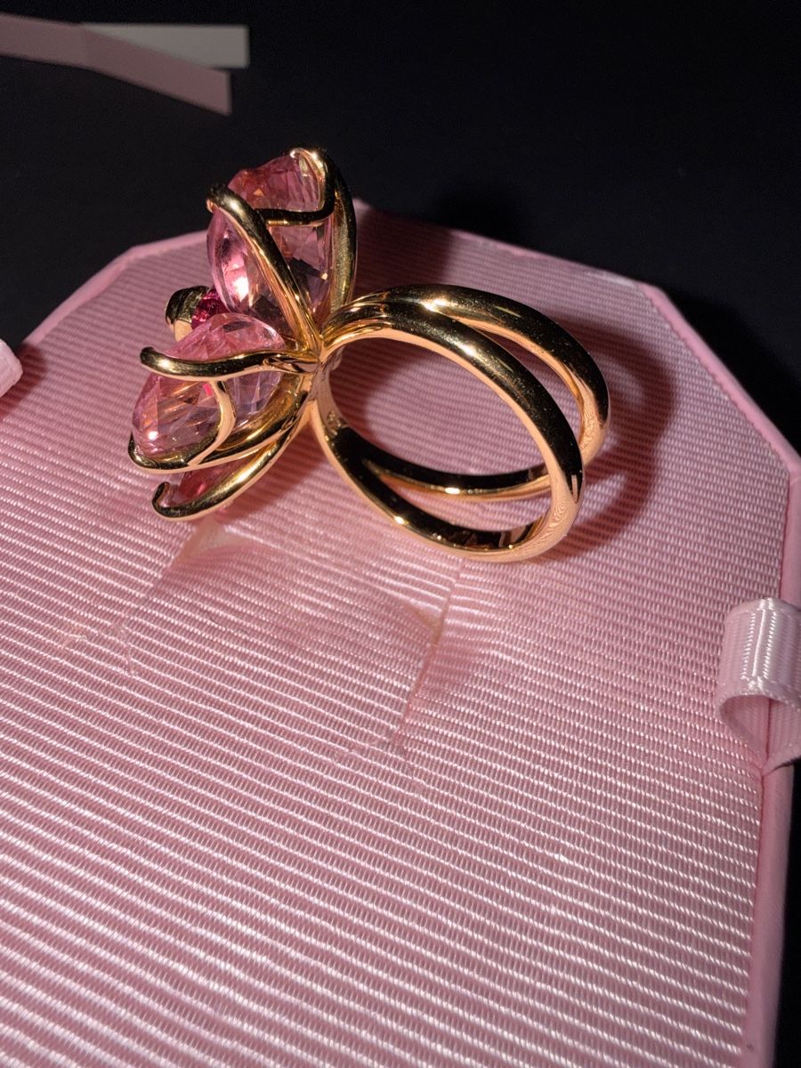 Swarovski Bagues: Swarovski Ring 60 – Neuf (Voir description) à Schafisheim par jan_cb2f 2