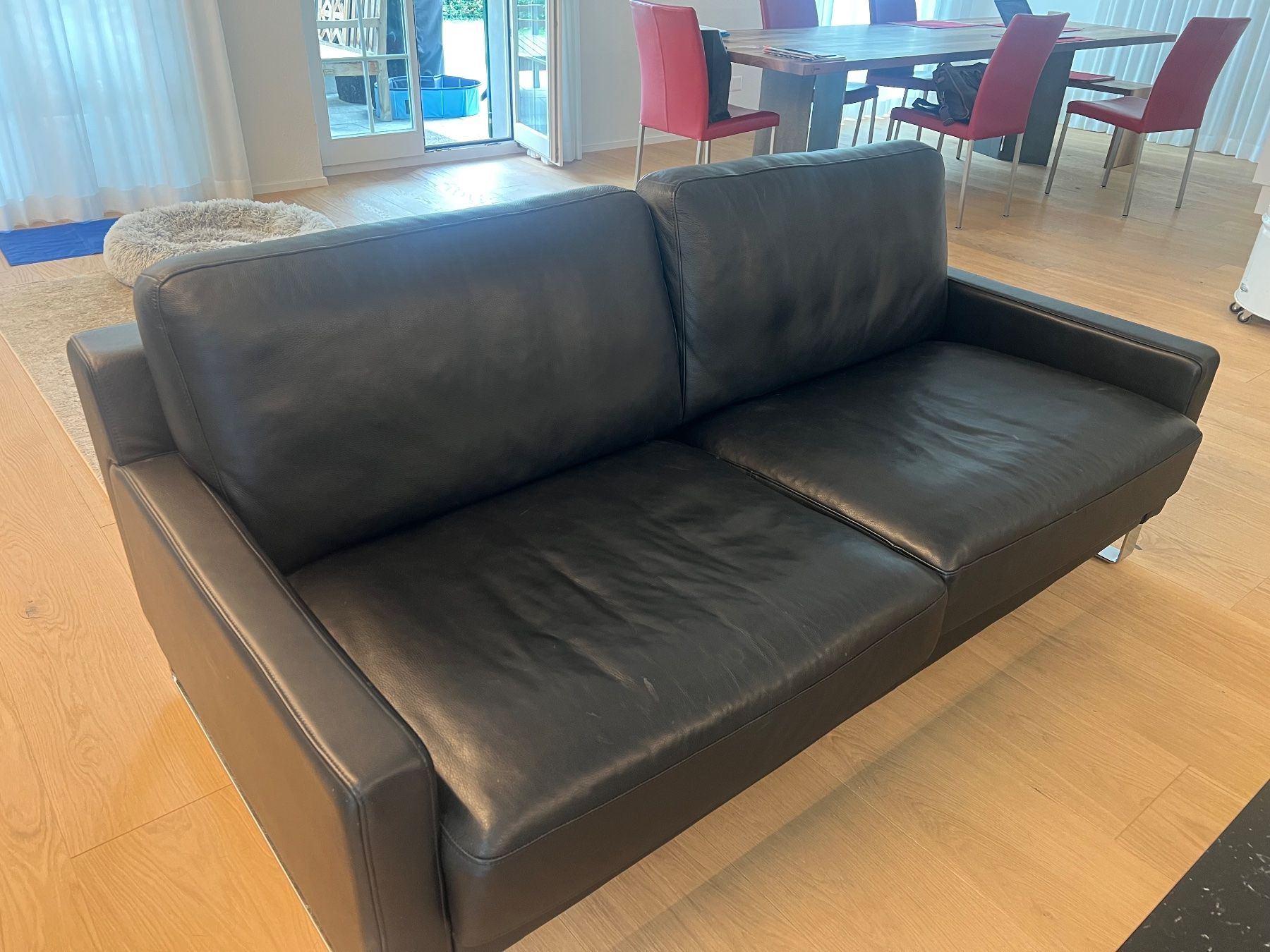 Rolf Benz Sofas: 2 Design-Sofas – Gebraucht aus Humlikon von suh_g5py 1