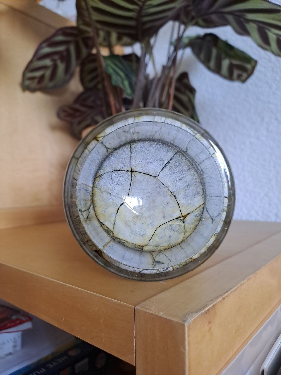 Vasi & Recipienti: Muranoglas Vase – Nuovo (secondo la descrizione) da Aeugst am Albis venduto da tulalitulala 3