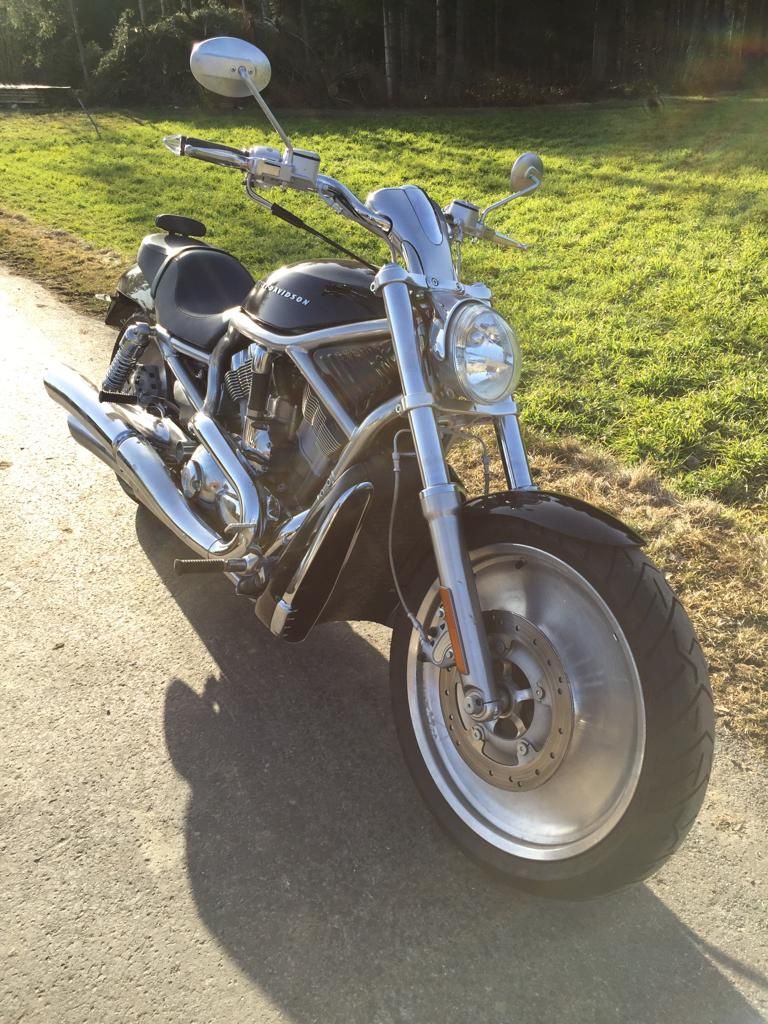 Harley-Davidson Chopper: Harley Davidson V-Rod – Usato da Belp venduto da Siruz 2
