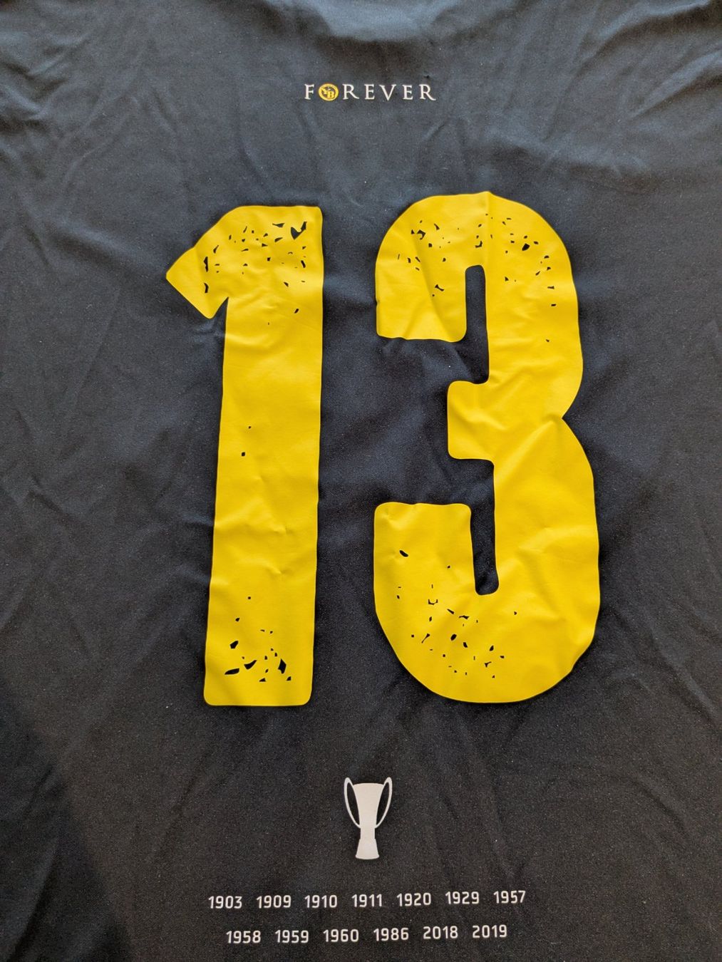 Canottiere & Pantaloni: Meistershirt BSC Young Boys der Saison 2019 – Usato da Mümliswil venduto da Grizzly7 4