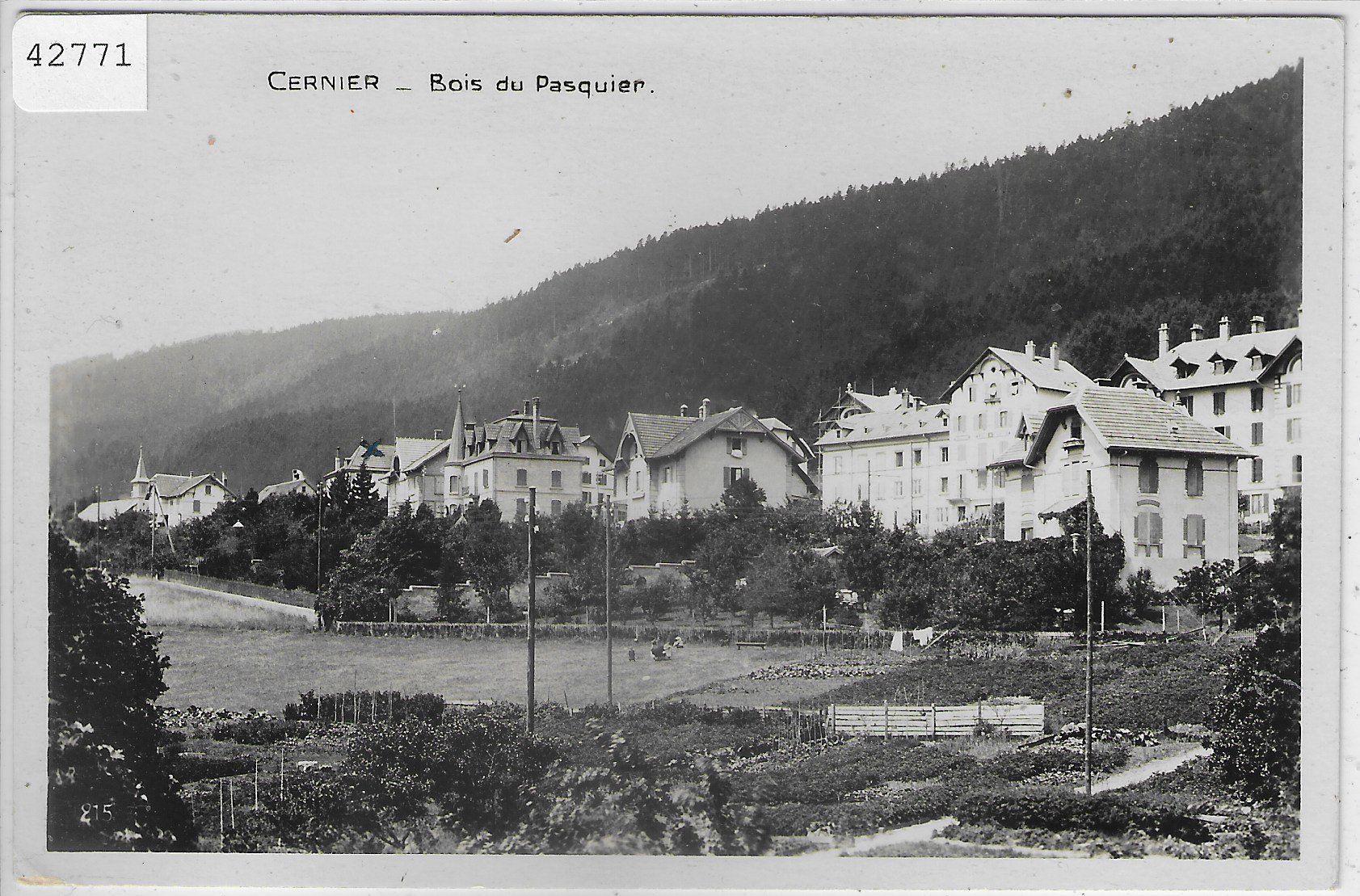 Cartes postales: Cernier - Bois du Pasquir – D'occasion à Ettingen par Kartenplanet