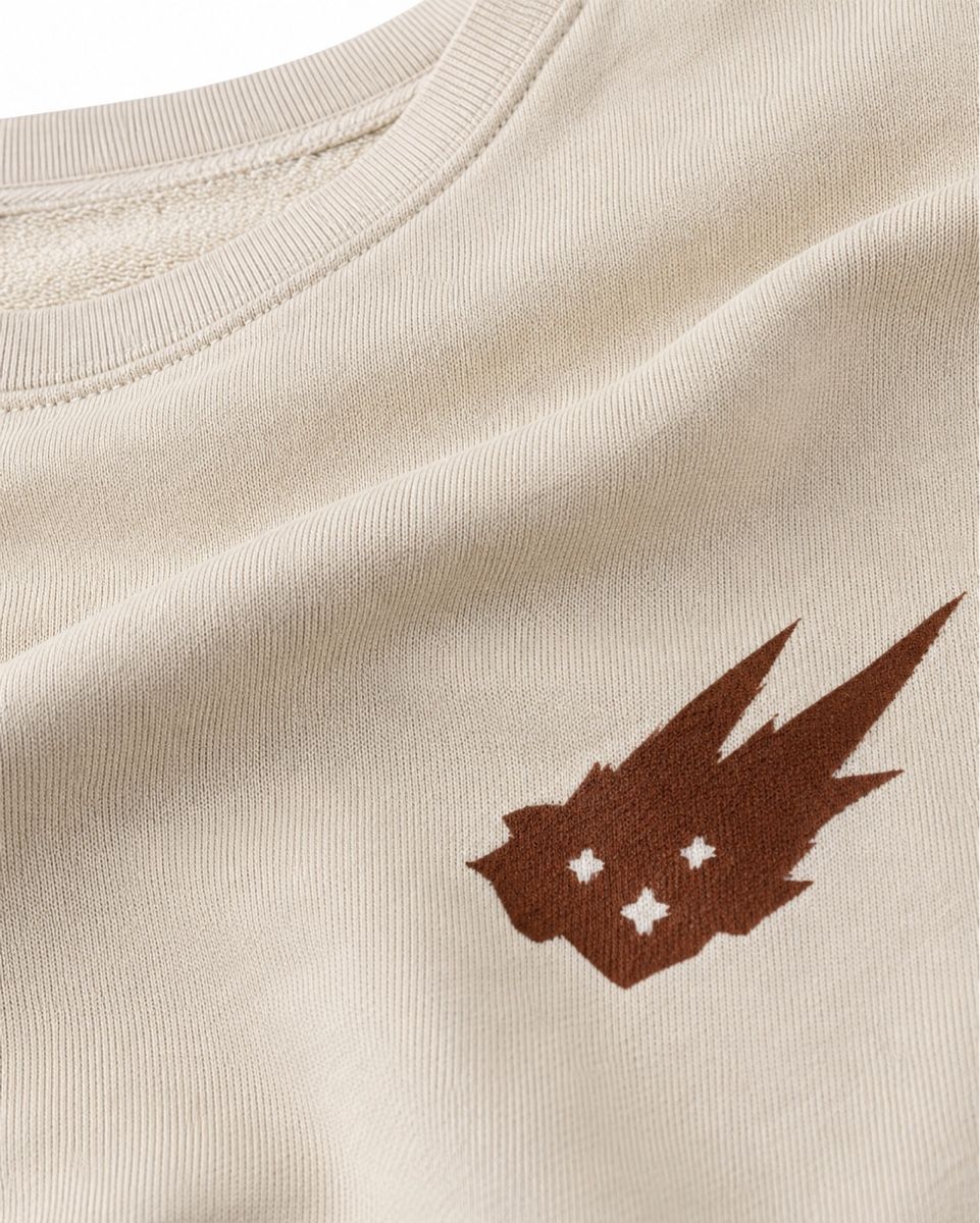 Pulls & Sweat-shirts: CACTI by Travis Scott Sweatshirt XL Beige – D'occasion à Unterentfelden par Ecru.store 2