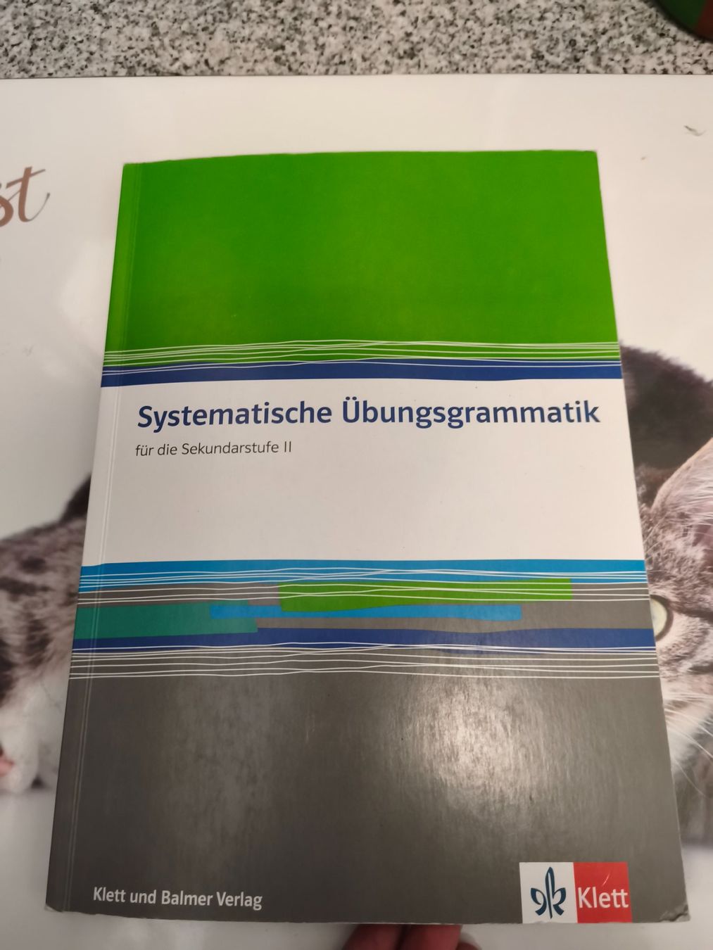 Bücher: Systematische Übungsgrammatik – Neu (gemäss Beschreibung) aus Starrkirch-Wil von wae_xd2j