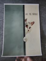 Affiche décorative chat blanc humoristique are you pooping 