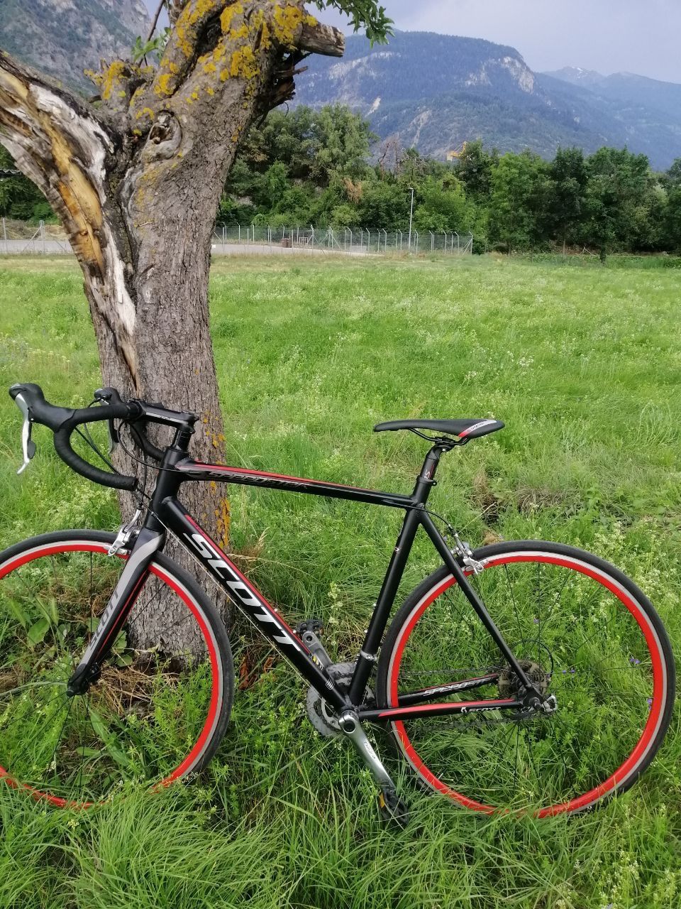 Scott Biciclette: vélo de route SCOTT Speedster 30 taille L Alusperlight – Usato da Sierre venduto da agn_ww55 1