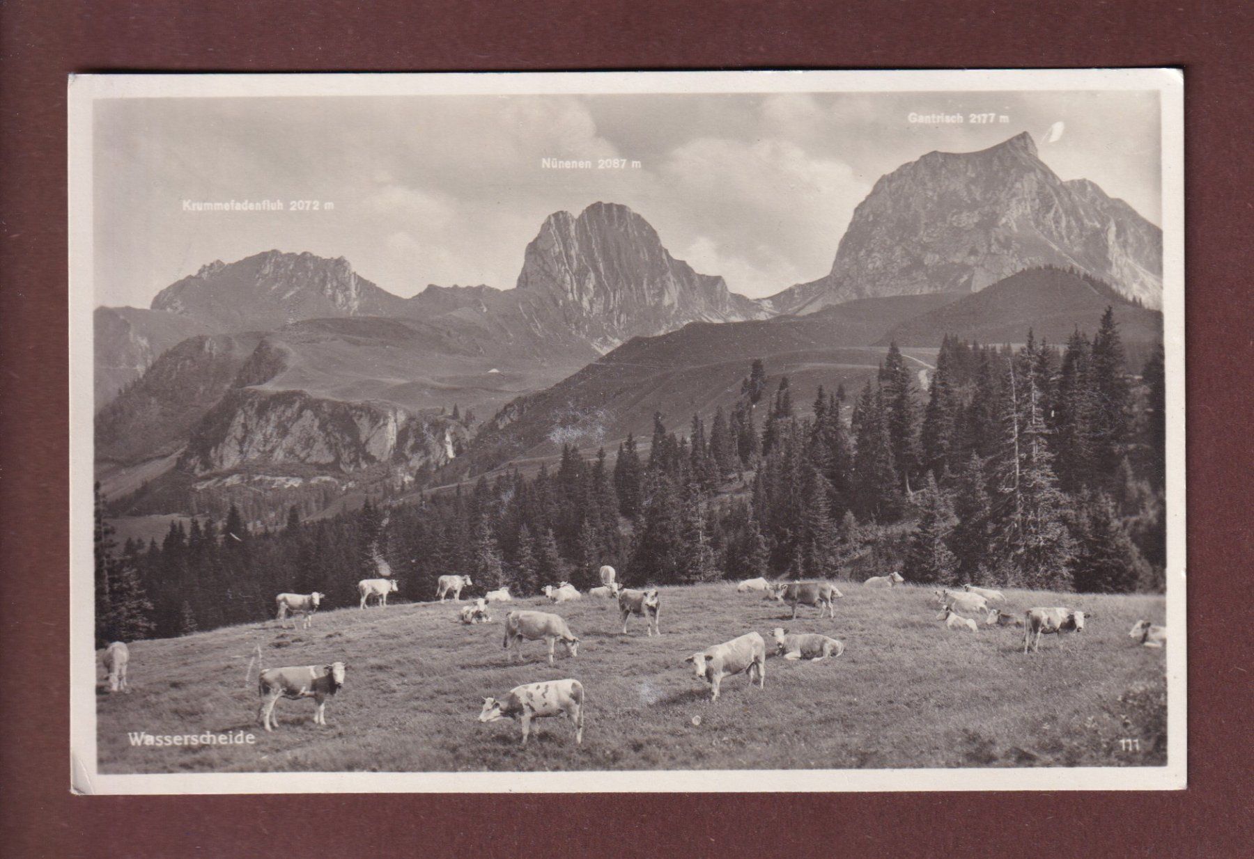 Cartoline postali: WASSERSCHEIDE - Kühe – Usato da Pully venduto da nicecards-shop