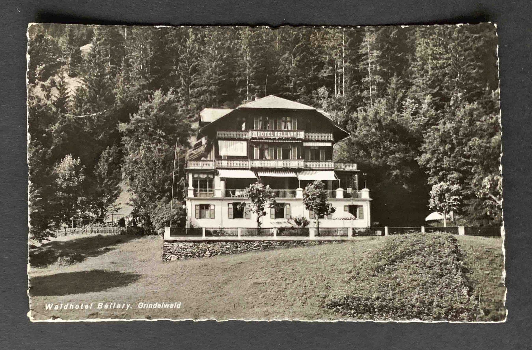 Cartoline postali: AK Grindelwald Wald Hotel Bellary – Usato da Goldau venduto da artelier1